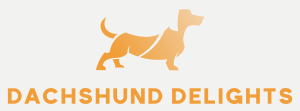 delights dachshund